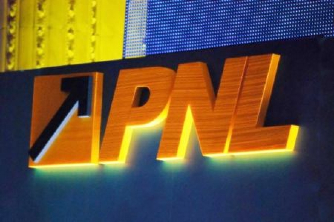 Cine candideaza pentru europarlamentare de la PNL? 