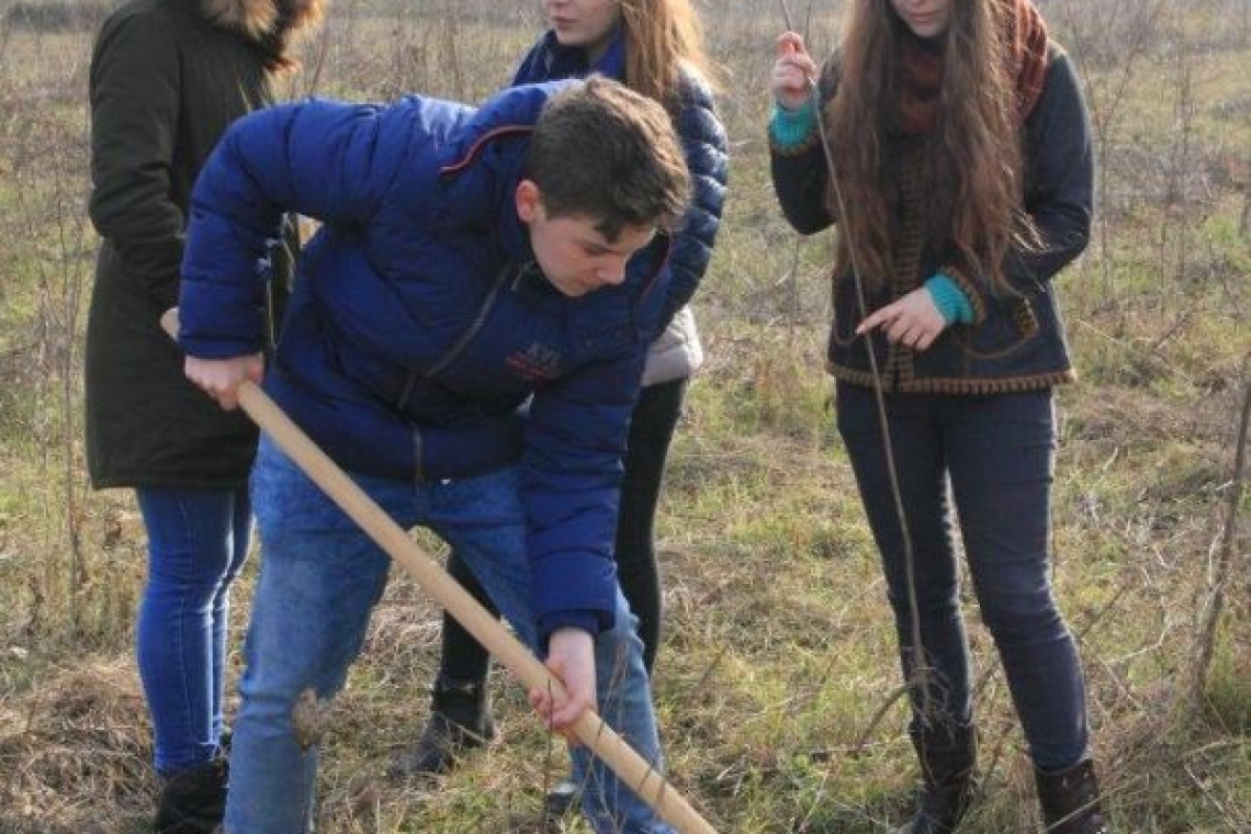 3000 de puieți de salcâm vor fi plantați în zona fostei rampe de gunoi Teleajen