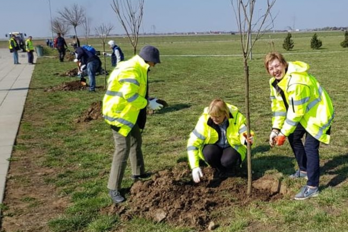 1500 de pomi au fost plantați astăzi în Parcul Municipal Vest