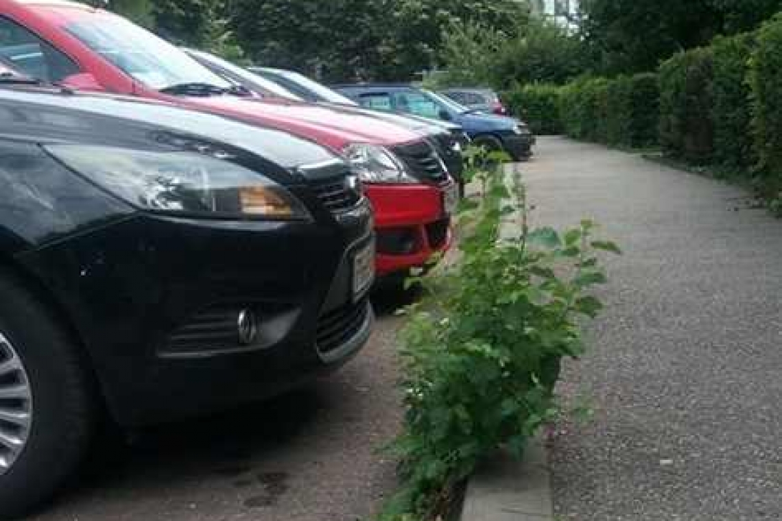 În parcările din cartierele ploieștene cresc buruienile într-o veselie