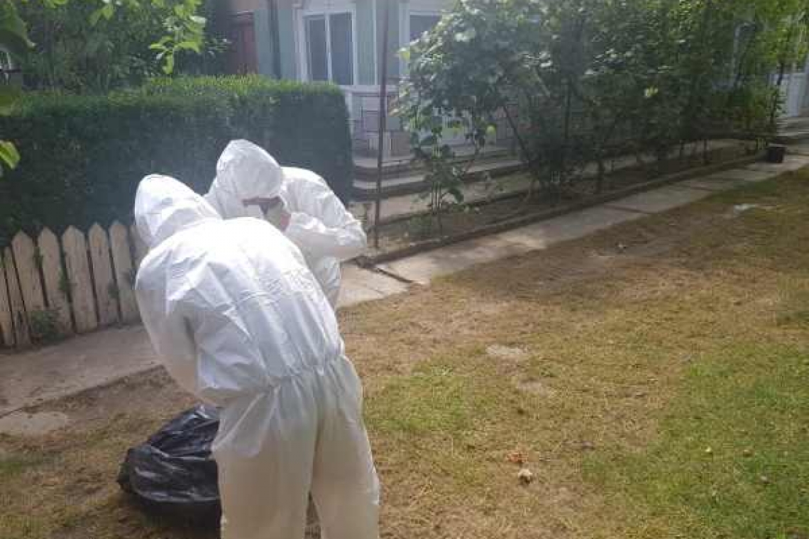 Prahova în alertă din cauza pestei porcine! Alte două județe sunt sub supraveghere