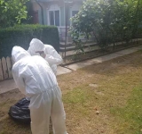 Prahova în alertă din cauza pestei porcine! Alte două județe sunt sub supraveghere