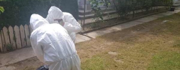 Prahova în alertă din cauza pestei porcine! Alte două județe sunt sub supraveghere