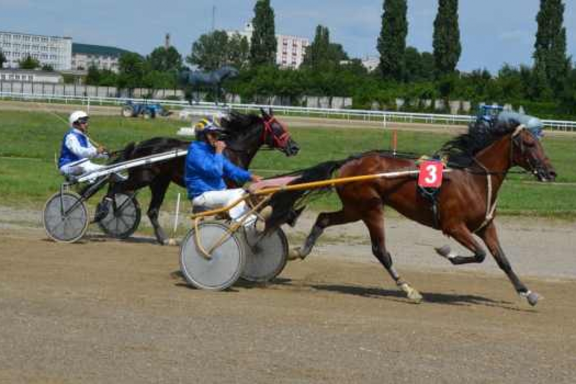 Spectacol pe pistă la Premiul de Vară- Fortuna Gold de pe Hipodromul Ploiești