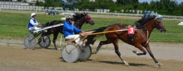Spectacol pe pistă la Premiul de Vară- Fortuna Gold de pe Hipodromul Ploiești