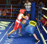 Ploieștiul ar putea avea o Academie de Box