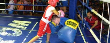 Ploieștiul ar putea avea o Academie de Box