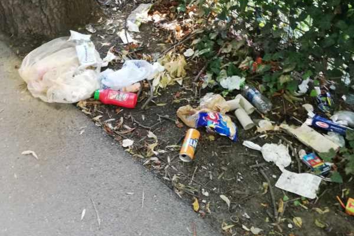 Se pare că nu e suficient! Amenzile polițiștilor locali nu-i împiedică pe ploieșteni să arunce gunoiul aiurea prin oraș