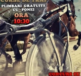 Reuniune de trap fără ”Criteriul de Fond”, sâmbătă dimineață, pe Hipodromul Ploiești