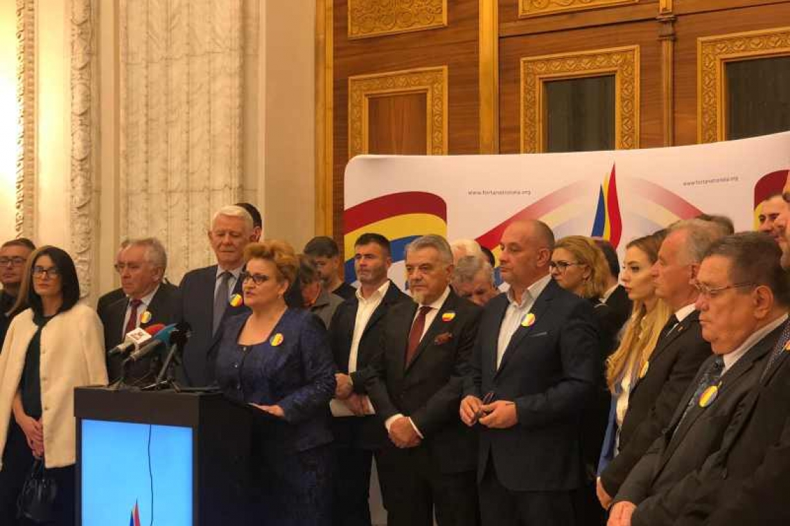Grațiela Gavrilescu și Teodor Meleșcanu au fost aleși în conducerea Partidului Forța Națională