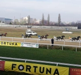 Sezonul competițional de pe Hipodromul Ploiești se apropie de final