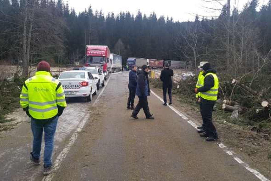 Dezastru pe DN 1A la ieșire din Cheia! Drumul este blocat de copacii căzuți