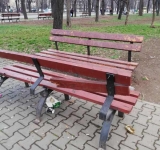 Scriem pe facebook despre poluarea Ploieștiului dar aruncăm conserve de pește sub băncile de pe Bulevard