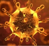 Evoluția epidemiei de coronavirus în județul Prahova/Date oficiale pentru 19 martie