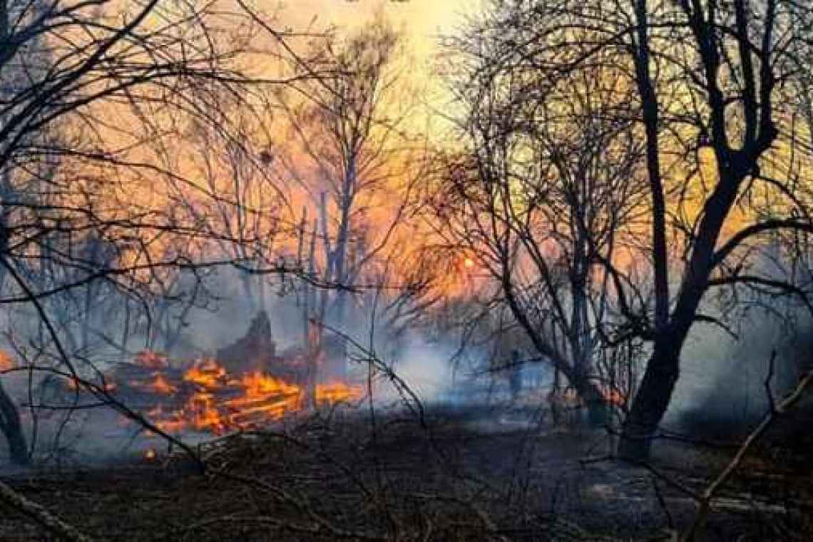 Dacă scăpăm de coronavirus ne omoară radiațiile! Pădurile din Cernobîl ard de nouă zile!