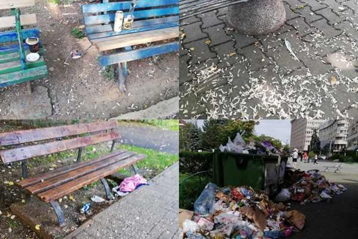 Epopeea jegului urban