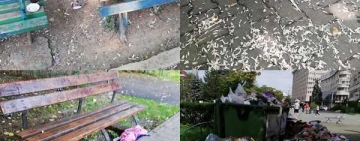 Epopeea jegului urban
