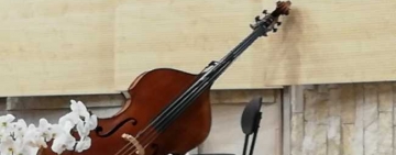 Filarmonica din Ploiești reia vineri seară concertele cu public în sală