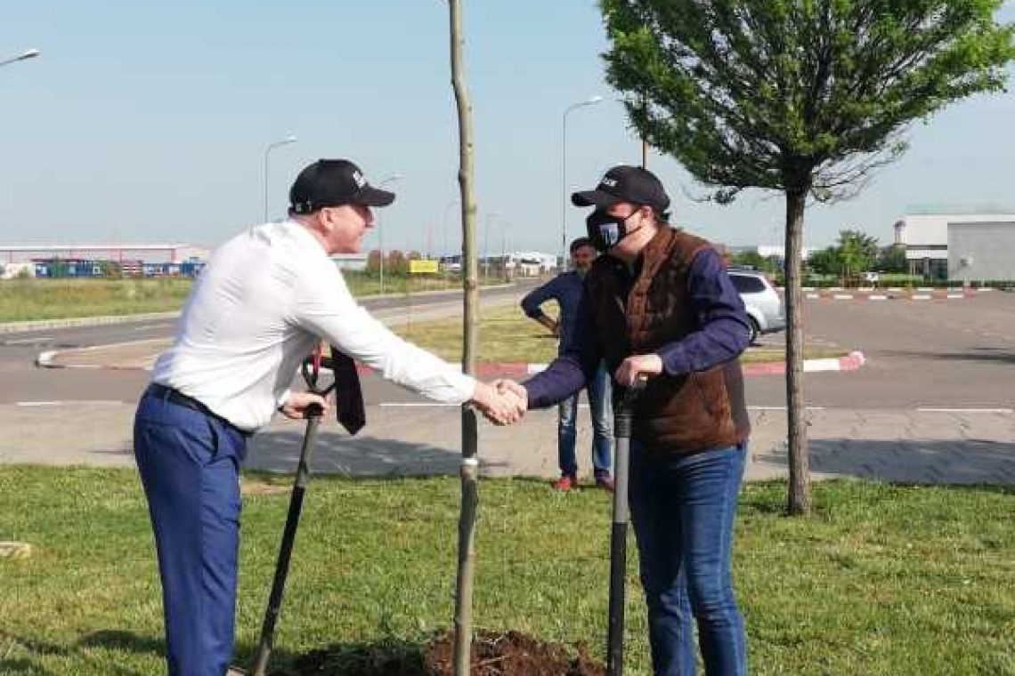 40 de platani au fost plantați în Parcul Municipal Vest cu sprijinul Rafinăriei Petrotel Lukoil
