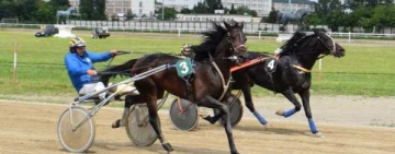 Final palpitant în ”Premiul Castanilor”! Dona Pilar s-a impus în cursa de pe Hipodromul Ploiești