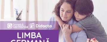 Care sunt nivelurile de limbă și cum le atest?