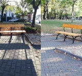 Dacă scapă de hoardele barbare, le fac praf ciorile