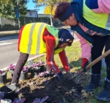 Continuă acțiunea de igienizare și înfrumusețare a zonelor verzi din Ploiești