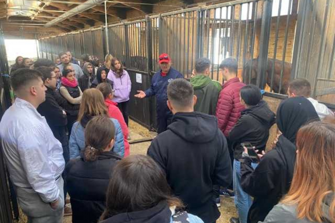 Studenții Facultății de Medicină Veterinară din București fac practică la Hipodromul Ploiești